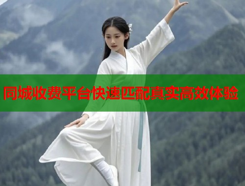 同城收费平台快速匹配真实高效体验  第1张