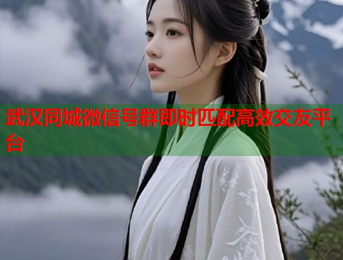 武汉同城微信号群即时匹配高效交友平台  第2张