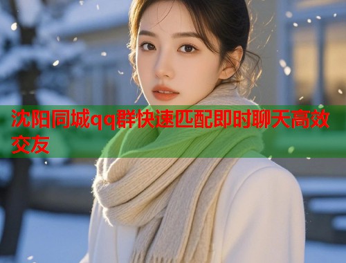 沈阳同城qq群快速匹配即时聊天高效交友  第2张