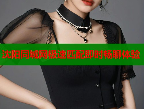 沈阳同城网极速匹配即时畅聊体验