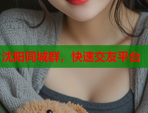 沈阳同城群，快速交友平台